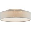 Plafonnier Brilliant Baska LED Blanc, 1 lumière
