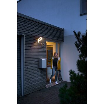 Applique murale d'extérieur LEDVANCE ENDURA® Acier inoxydable, 1 lumière, Détecteur de mouvement