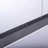 Suspension Paul Neuhaus PURE-MOTO LED Gris, 3 lumières, Télécommandes