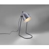 Lampe à poser Leuchten-Direkt SAMIA Gris, 1 lumière
