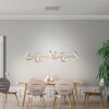 Suspension Leuchten Direkt CURLS LED Laiton, 4 lumières