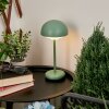 Lampe à poser Bellange LED Vert, 1 lumière