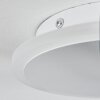 Plafonnier Bina LED Blanc, 1 lumière, Télécommandes