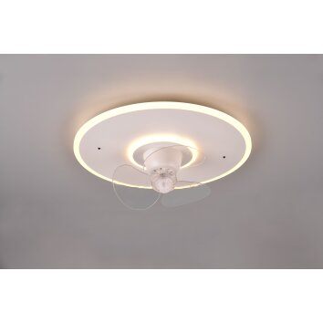Ventilateur de plafond Reality Nybro LED Blanc, 1 lumière, Télécommandes