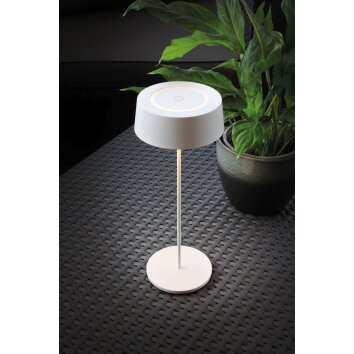 Lampe de table Lutec COCKTAIL LED Blanc, 1 lumière