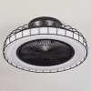 Ventilateur de plafond Burmeister LED Noir, 1 lumière, Télécommandes