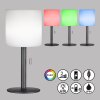 Lampe de table FHL easy Lesina LED Anthracite, 1 lumière, Changeur de couleurs