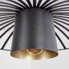 Suspension Tanakou Noir, 1 lumière