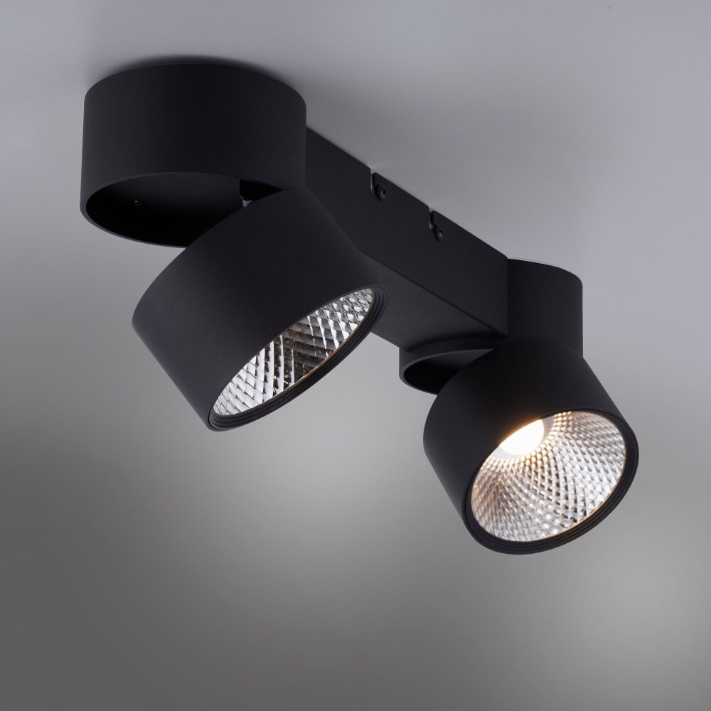 Plafonnier Paul Neuhaus PURE-NOLA LED Noir, 2 lumières