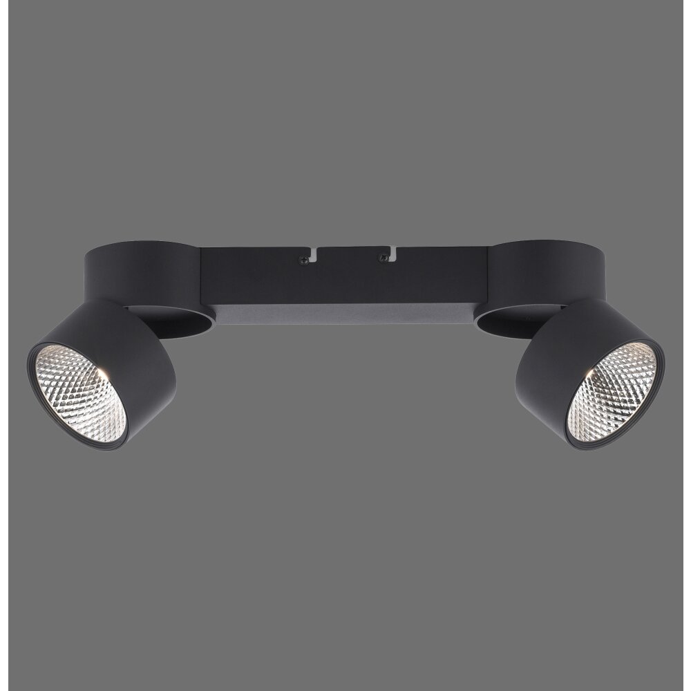 Plafonnier Paul Neuhaus PURE-NOLA LED Noir, 2 lumières
