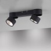 Plafonnier Paul Neuhaus PURE-NOLA LED Noir, 2 lumières