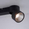 Plafonnier Paul Neuhaus PURE-NOLA LED Noir, 2 lumières