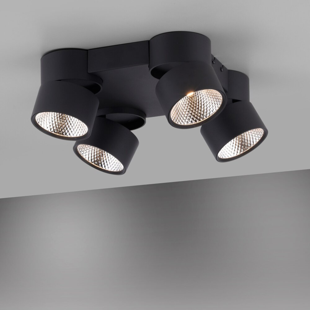 Plafonnier Paul Neuhaus PURE-NOLA LED Noir, 4 lumières