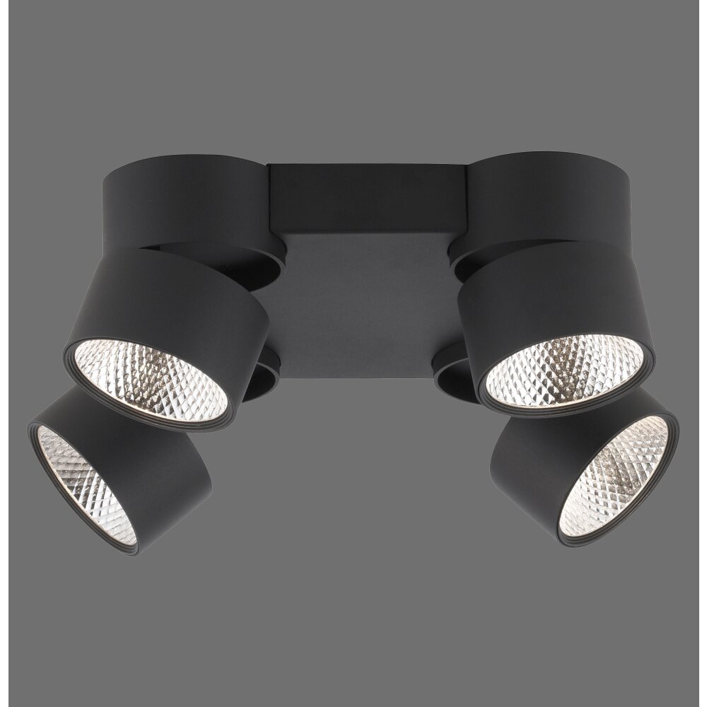 Plafonnier Paul Neuhaus PURE-NOLA LED Noir, 4 lumières