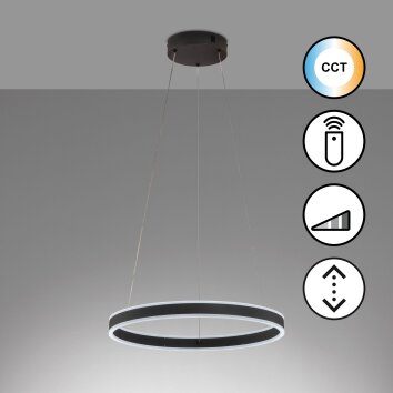 Suspension Fischer & Honsel Sirko LED Noir, 1 lumière, Télécommandes