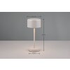 Lampe de table Reality JEFF LED Gris, 1 lumière