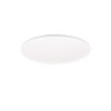 Plafonnier Reality SCOTT LED Blanc, 1 lumière, Télécommandes