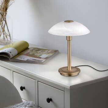 Lampe de table Paul Neuhaus ENOVA LED Vieux laiton, 1 lumière