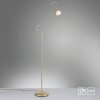 Lampadaire Paul Neuhaus PINO LED Laiton, 1 lumière