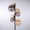 Lampadaire Paul Neuhaus POPSICLE LED Noir, 7 lumières