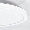 Spot encastrable Pawcatuck LED Blanc, 1 lumière