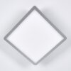 Spot encastrable Pawcatuck LED Chrome, Blanc, 1 lumière