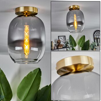 Plafonnier - Verre Apedo Laiton, 1 lumière