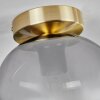 Plafonnier - Verre Apedo Laiton, 1 lumière