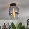 Plafonnier - Verre Apedo Clair, Fumé, 1 lumière