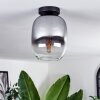Plafonnier - Verre Apedo Clair, Fumé, 1 lumière