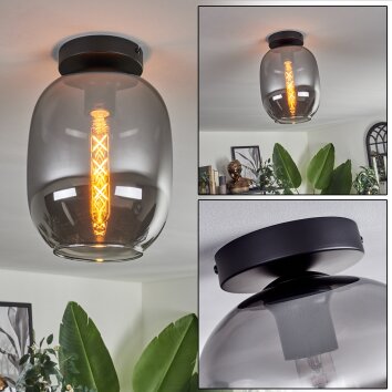 Plafonnier - Verre Apedo Fumé, 1 lumière