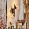 Applique murale - Verre Chehalis Clair, 2 lumières