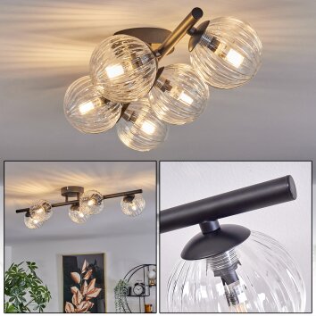 Plafonnier - Verre Chehalis Clair, 5 lumières