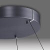 Suspension Paul-Neuhaus PURE E-LOOP LED Gris, 2 lumières, Télécommandes