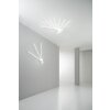 Plafonnier Lutec SHANGHAI LED Blanc, 3 lumières