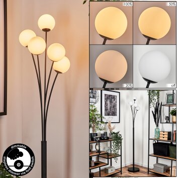 Lampadaire - Verre 10 cm Bernado Blanc, 5 lumières