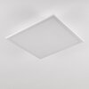 Plafonnier Barasat LED Blanc, 1 lumière