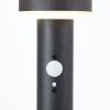 Lampadaire d'extérieur Brilliant Garvina LED Noir, 1 lumière, Détecteur de mouvement
