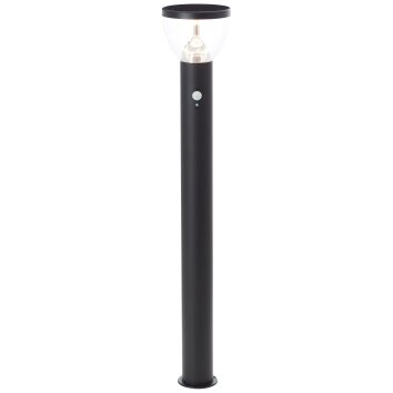 Lampadaire d'extérieur Brilliant Tulip LED Noir, 1 lumière, Détecteur de mouvement