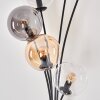 Lampadaire - Verre 15 cm Gastor Ambre, Clair, Fumé, 6 lumières