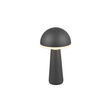 Lampe de table Reality FUNGO LED Anthracite, 1 lumière