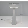 Lampe de table Reality TORREZ LED Gris, 1 lumière
