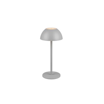 Lampe de table Reality RICARDO LED Gris, 1 lumière