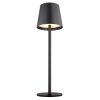 Salgadinho Lampe de table d'extérieur Luminaires Globo Lighting LED Anthracite, 1 lumière