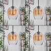 Vevino Suspension Ambre, Clair, 3 lumières