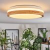Sofo Plafonnier LED Blanc, 1 lumière