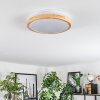 Sofo Plafonnier LED Blanc, 1 lumière