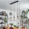 Vevino Suspension Clair, 3 lumières