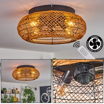 Fallhagen Plafonnier, Ventilateur de plafond lumineux Noir, 4 lumières, Télécommandes