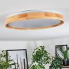 Sofo Plafonnier LED Blanc, 1 lumière, Télécommandes